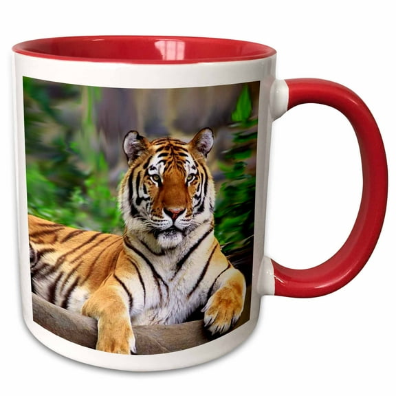 3drose, Siberian Tiger, 11oz Two-tone Red Mug