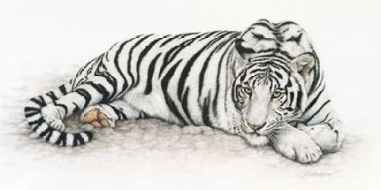 Siberian Tiger Canvas Art - Jan Henderson (24 x 48)