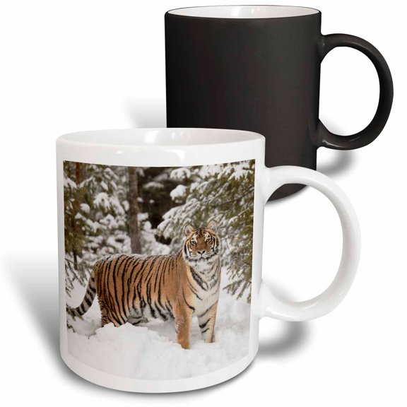 3drose, Siberian Tiger in Deep Winter Snow, Montana., 11oz Magic Transforming Mug
