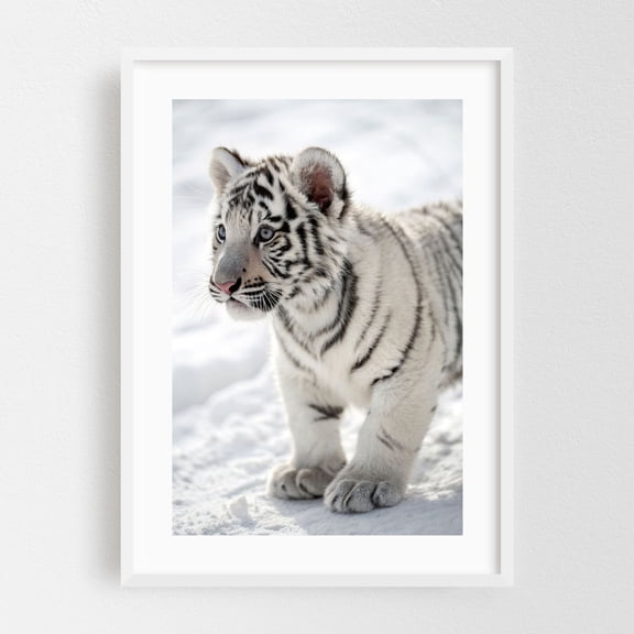 Siberian tiger cub close-up - Photography Tiger Wildlife Snow Animal Nature Winter Wilderness White Framed Wall Art Print 24 x 36 inches