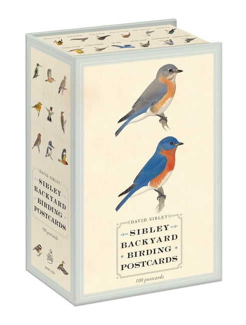 Elegant Keepsake Box with Watercolor Bird Postcards