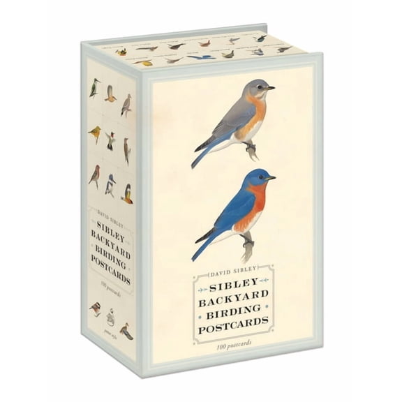 Sibley Backyard Birding Postcards, Book 1 (Boxed Set) (Paperback)