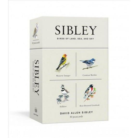 Sibley Birds: Sibley Birds of Land, Sea, and Sky : 50 Postcards (Cards)