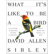 Sibley Guides What Its Like to Be a Bird From Flying to Nesting, Eating to Singing--What Birds Are Doing, and Why, Hardcover