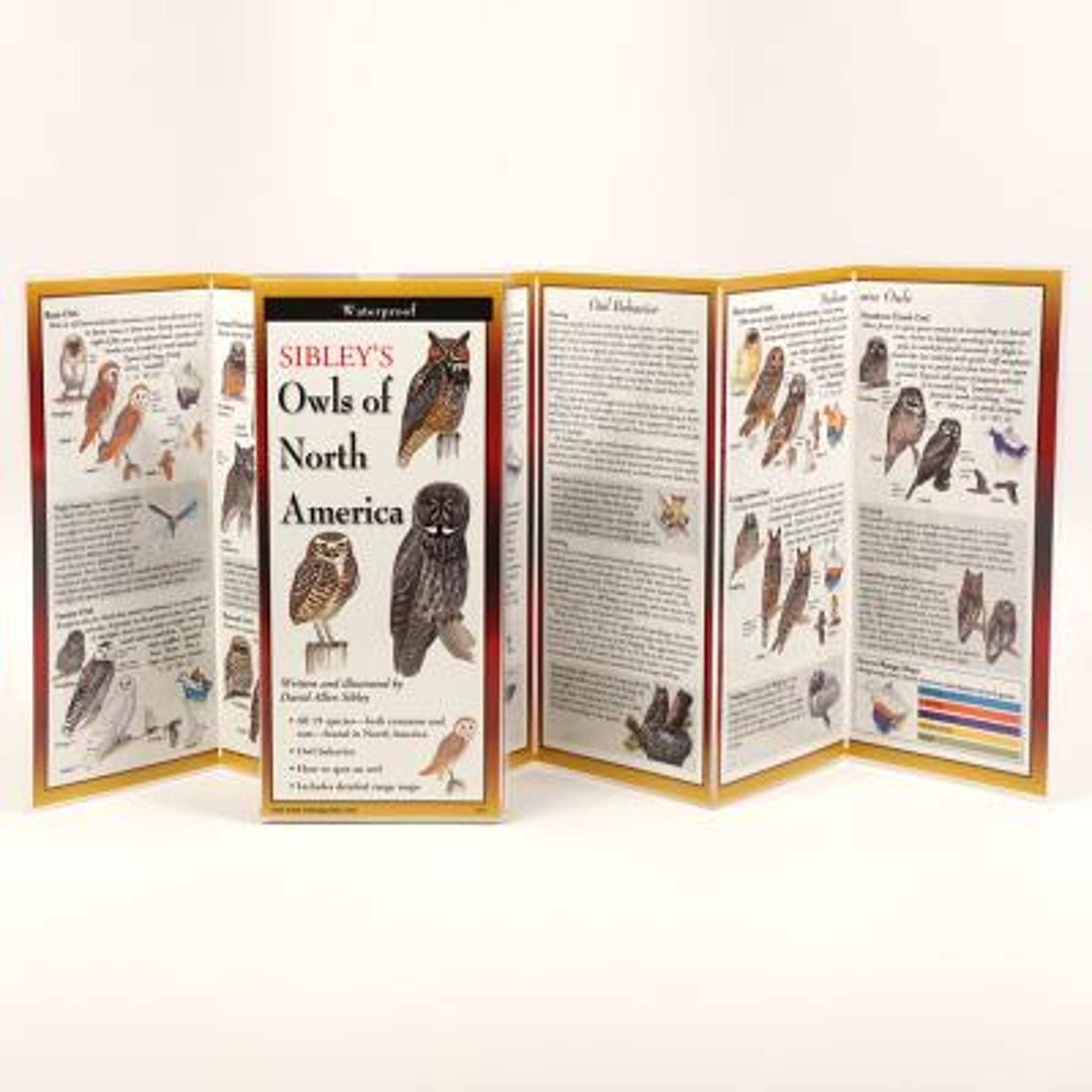 Pre-Owned Sibley's Owls of North America (Paperback 9781935380160) by Mr. David Sibley