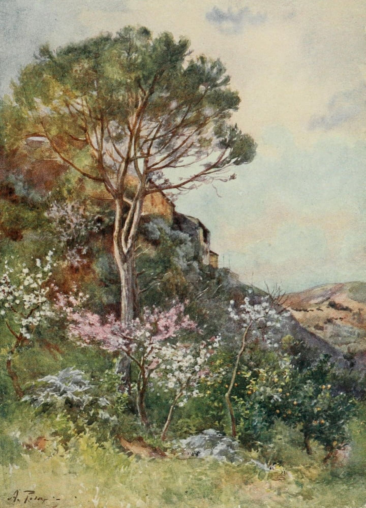 Sicily 1911 Near Calatafimi Canvas Art - Alberto Pisa (24 x 36)