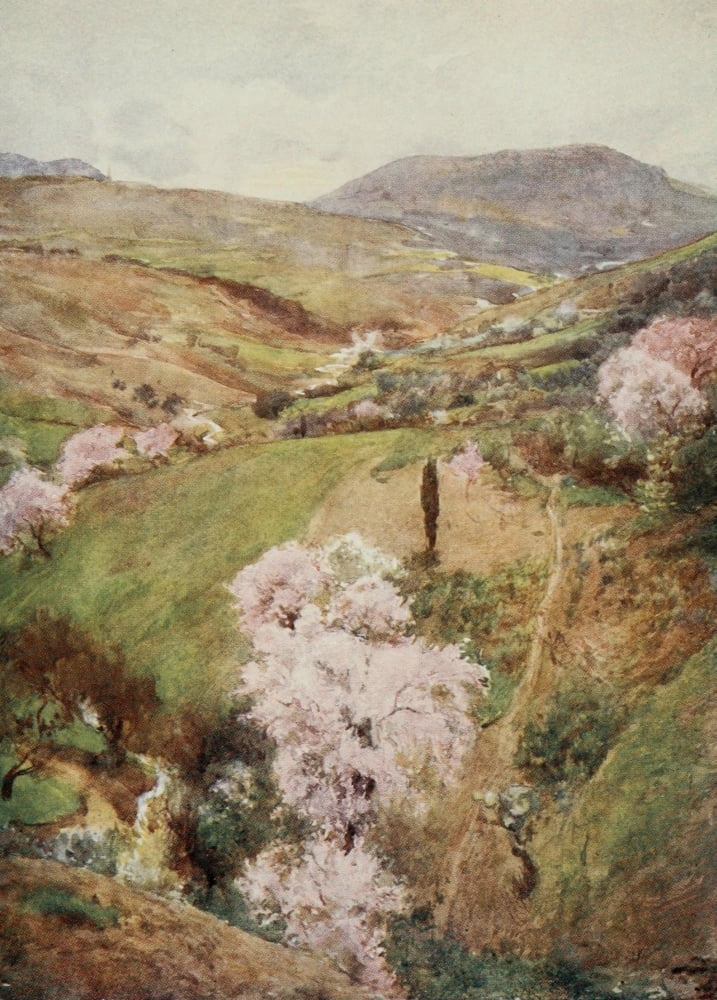 Sicily 1911 Valley near Girgenti Canvas Art - Alberto Pisa (18 x 24)