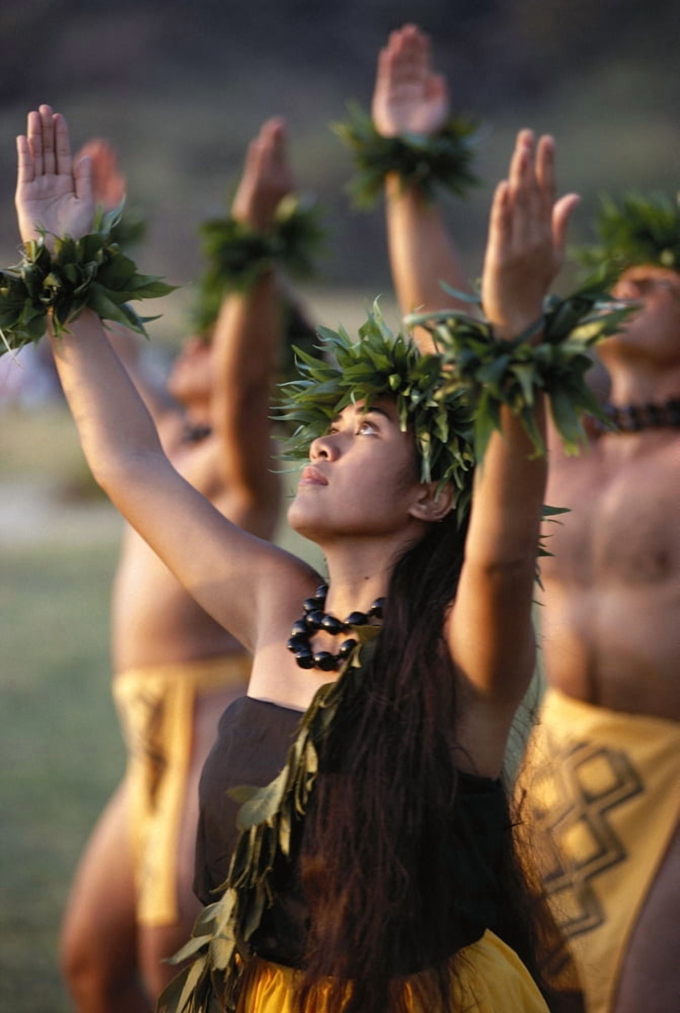 Side Angle Of Hula Dancers Kahiko All With Arms Raised Looking Upward Canvas Art - Allan Seiden Design Pics (12 x 19)