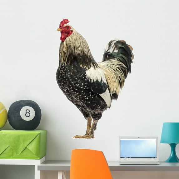 Side Brahma Rooster Wall Decal Sticker by Wallmonkeys Vinyl Peel and Stick Graphic (36 in H x 23 in W)