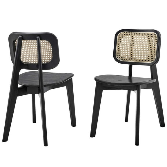 Side Dining Chair, Set of 2, Black, Wood, Modern Contemporary Farmhouse Coastal, Kitchen Room Cafe Bistro Restaurant Hospitality