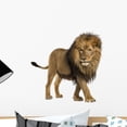 thumbnail image 1 of Side Lion Walking Wall Decal by Wallmonkeys Peel and Stick Graphic (18 in W x 18 in H) WM60650, 1 of 4