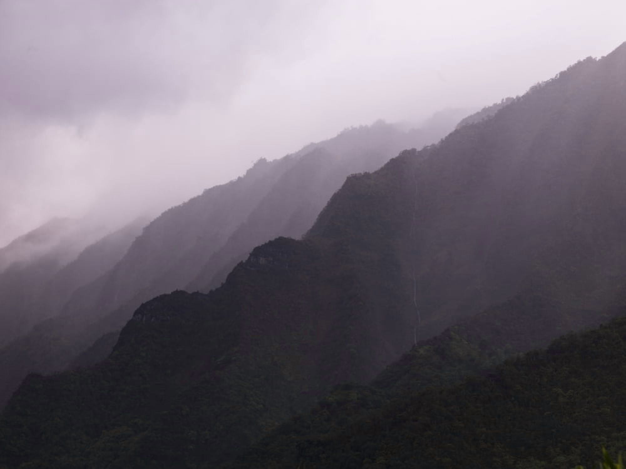 Side Of A Mountain Napali Coast State Park Kauai Hawaii Canvas Art - Keith Levit Design Pics (36 x 26)