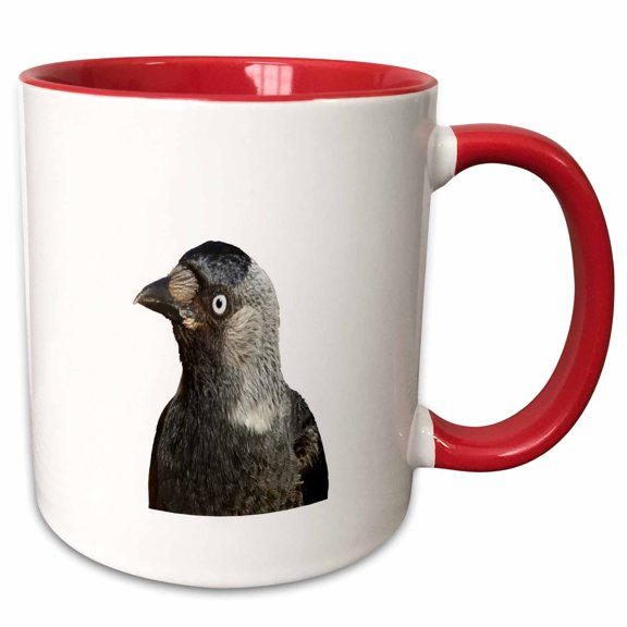 3drose, Side Profile of a Beady Eyed Jackdaw Cut Out, 15oz Two-tone Red Mug