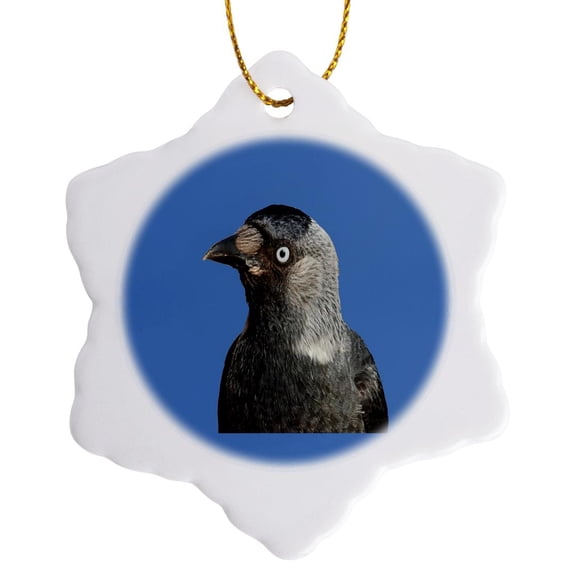 3drose, Side Profile of a Beady Eyed Jackdaw Cut Out, 3 inch Snowflake Porcelain Ornament