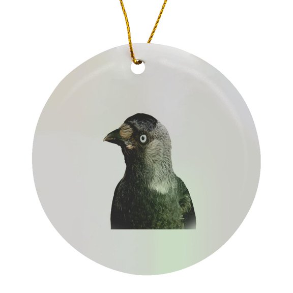 3drose, Side Profile of a Beady Eyed Jackdaw Cut Out, Circle Porcelain Ornament