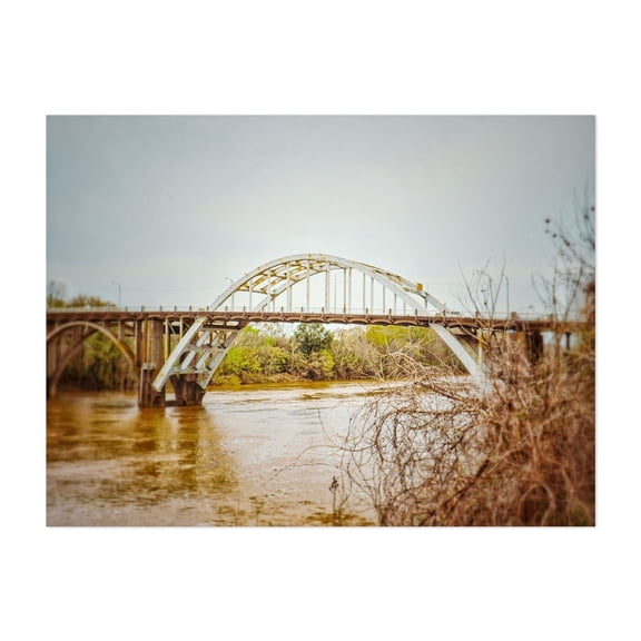 Side View of the Edmund Pettus Bridge - Selma Alabama Photography Bridge Water Landscape Architecture Scenic Travel Poster Unframed Wall Art Print 24 x 32 inches
