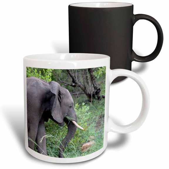 3drose, Side View of a Gorgeous Elephant in the Forest Wildlife Photography, 11oz Magic Transforming Mug