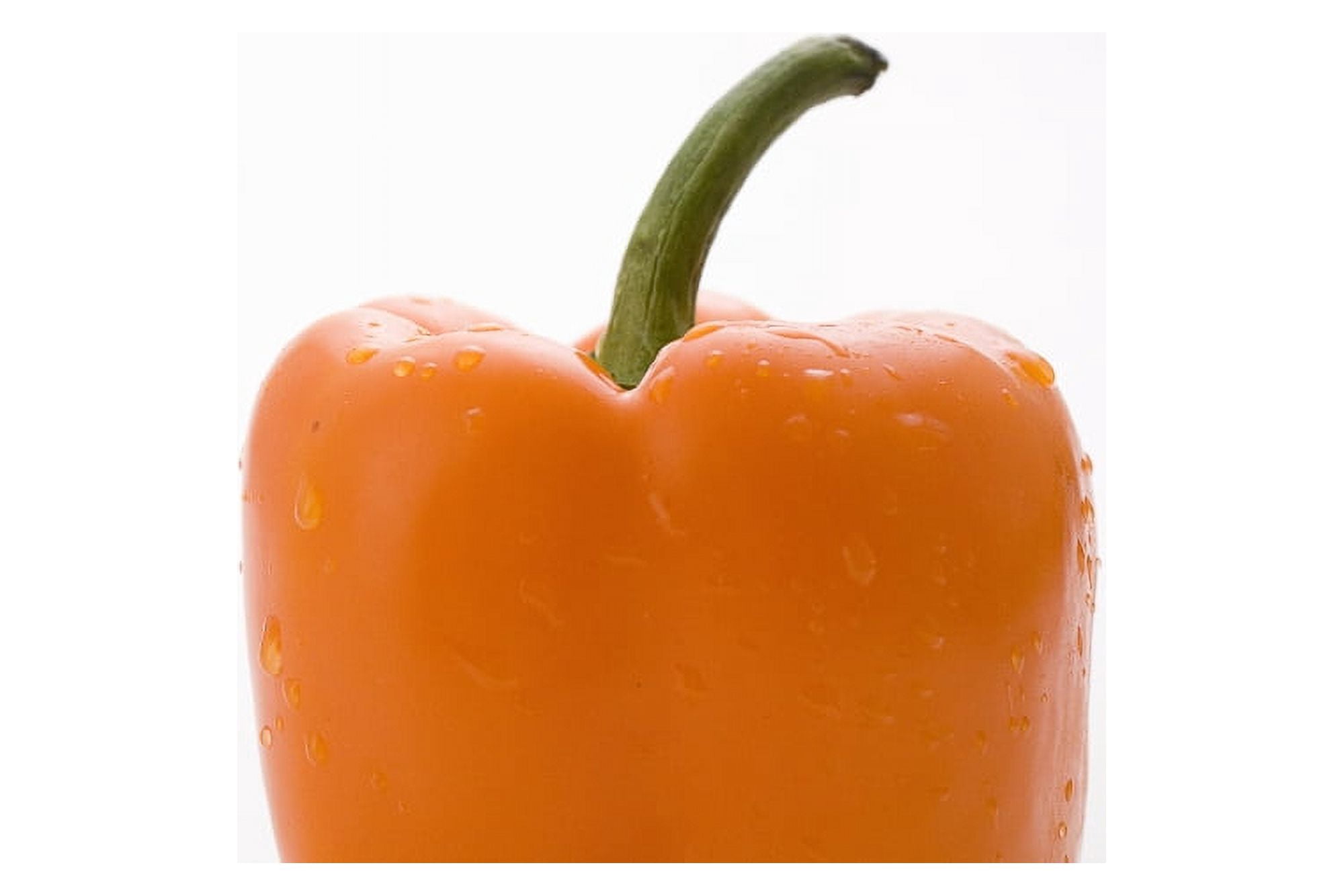 Side View Orange Pepper Canvas Art - Greg Huszar Photography Design Pics (36 x 24)