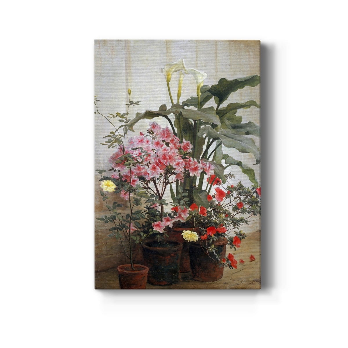 Side of a Greenhouse Premium Gallery Wrapped Canvas - Ready to Hang - 32 x 48