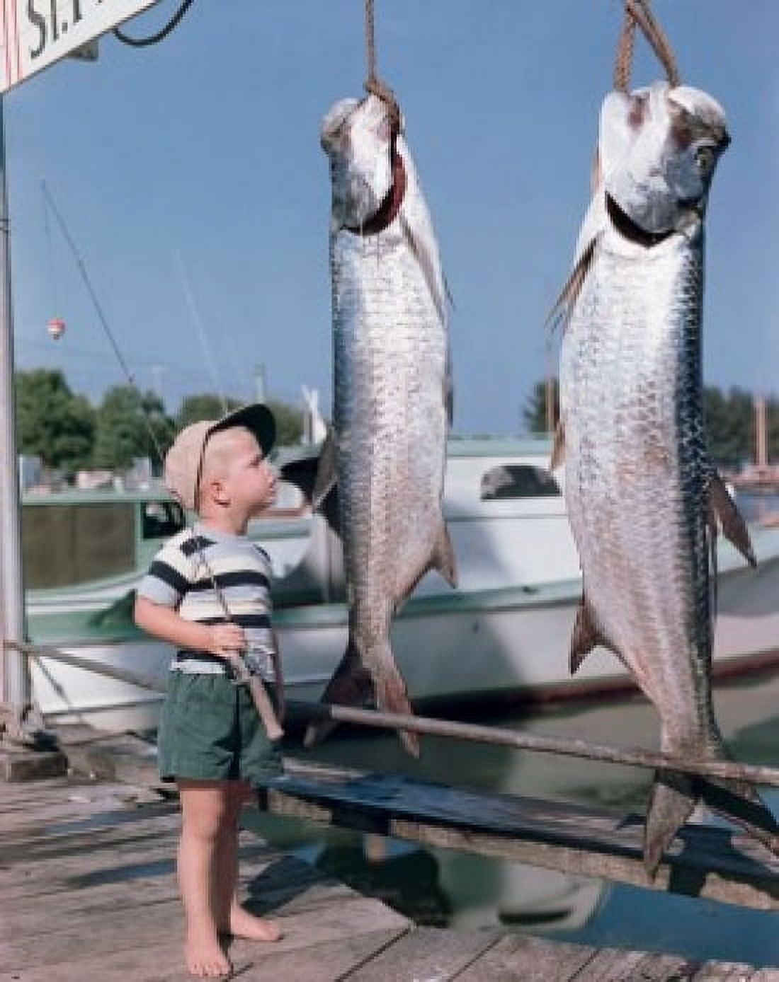 Side profile of a boy holding a fishing rod and looking at two hanging fish Canvas Art - (24 x 36)