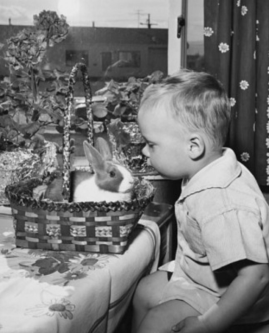 Side profile of a boy sitting near an Easter basket Canvas Art - (18 x 24)