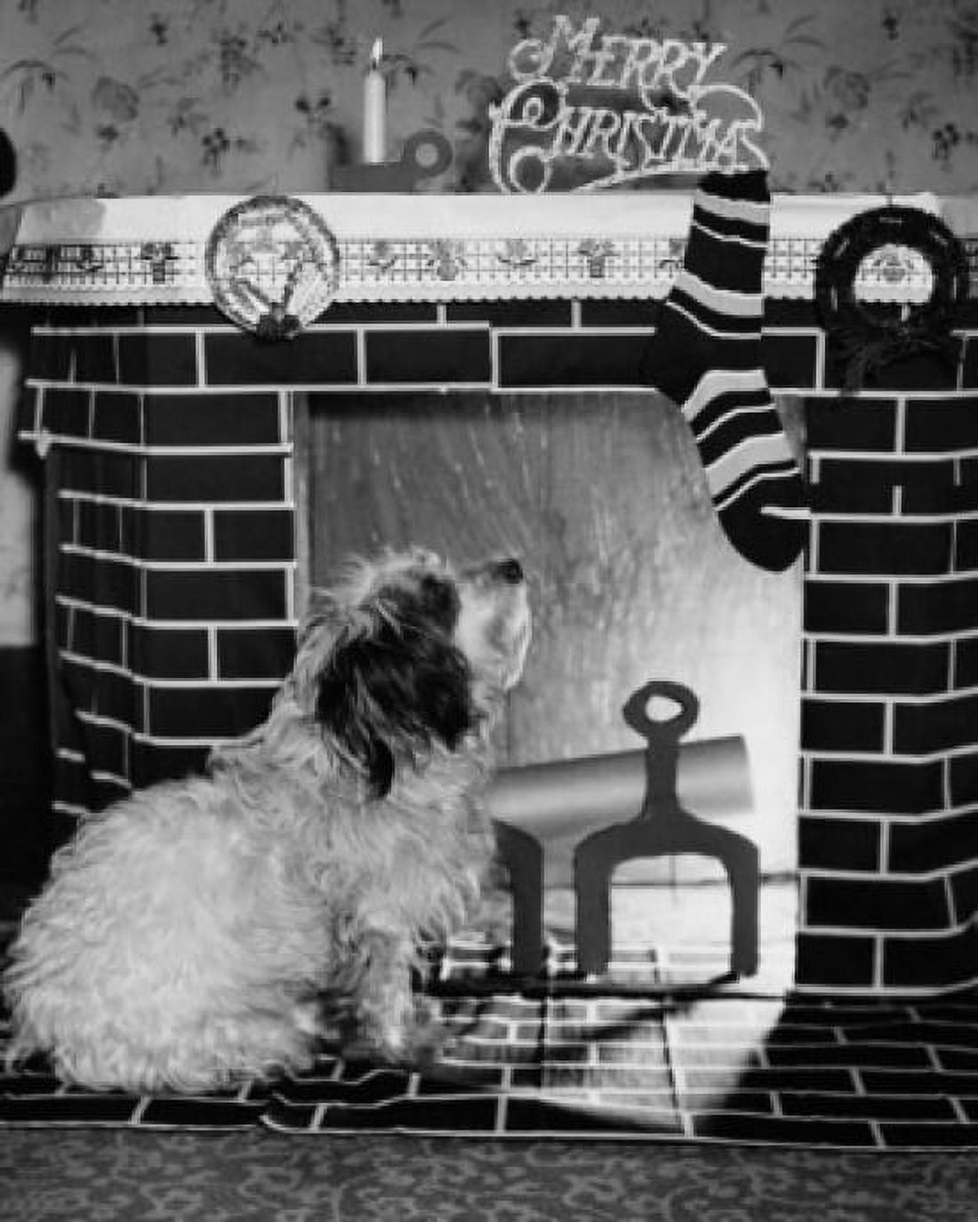 Side profile of a dog sitting near a fireplace Canvas Art - (18 x 24)