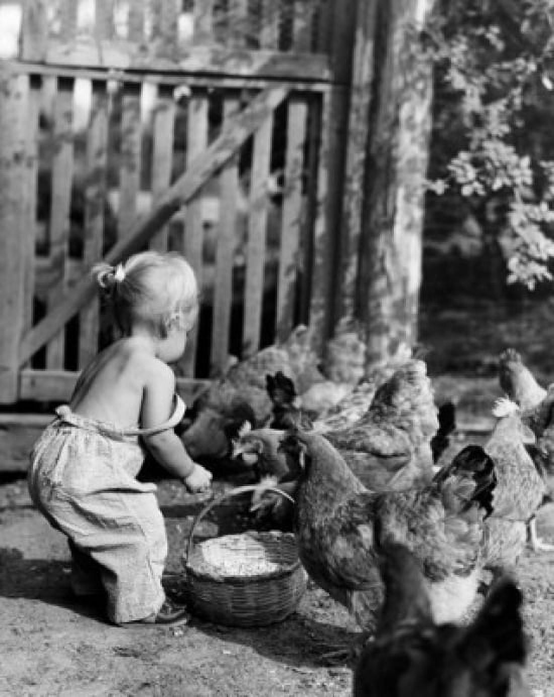 Side profile of a girl feeding chickens Canvas Art - (18 x 24)