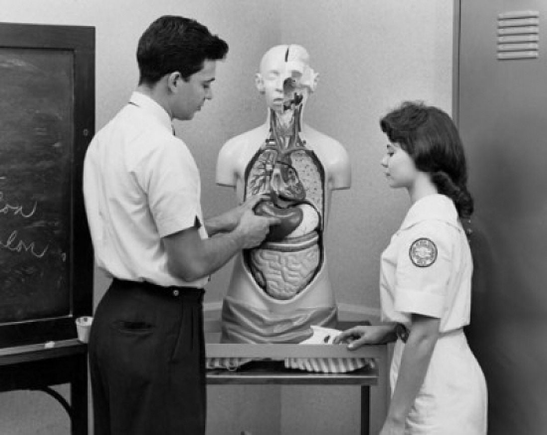 Side profile of a male doctor explaining about human organs to a female nurse Canvas Art - (24 x 36)