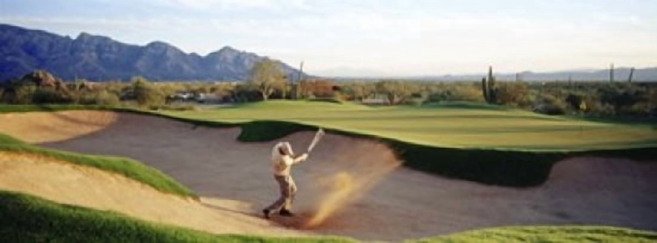 Side profile of a man playing golf at a golf course Tucson Arizona USA Canvas Art - Panoramic Images (36 x 13)