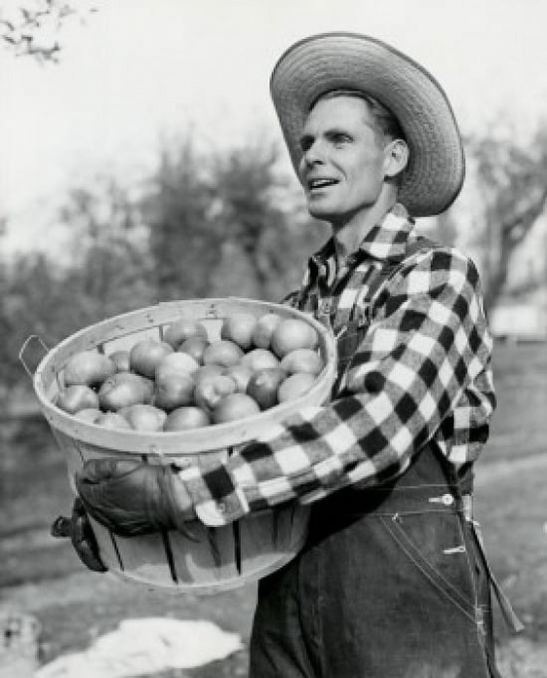 Side profile of a mid adult man holding a basket of apples Canvas Art - (18 x 24)