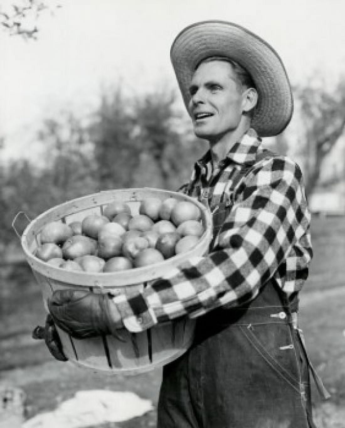 Side profile of a mid adult man holding a basket of apples Canvas Art - (24 x 36)