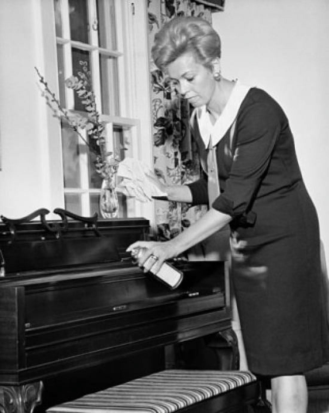 Side profile of a mid adult woman cleaning the piano Canvas Art - (18 x 24)