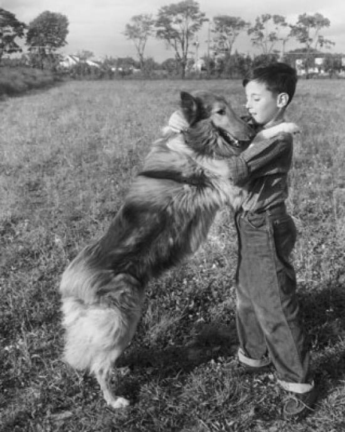 Side profile of boy playing with his dog Canvas Art - (18 x 24)