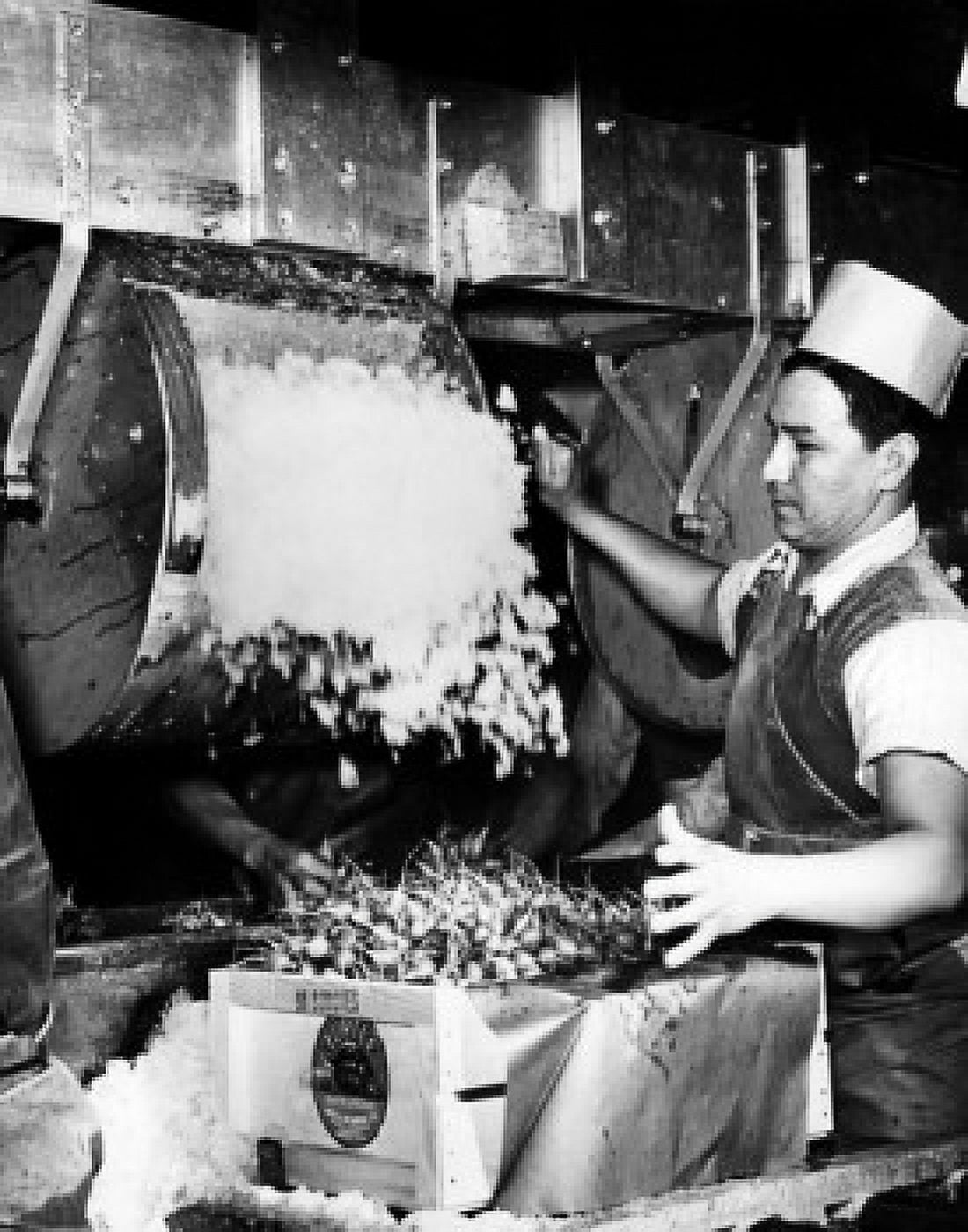 Side profile of male worker adding crushed ice to radish packages Canvas Art - (24 x 36)