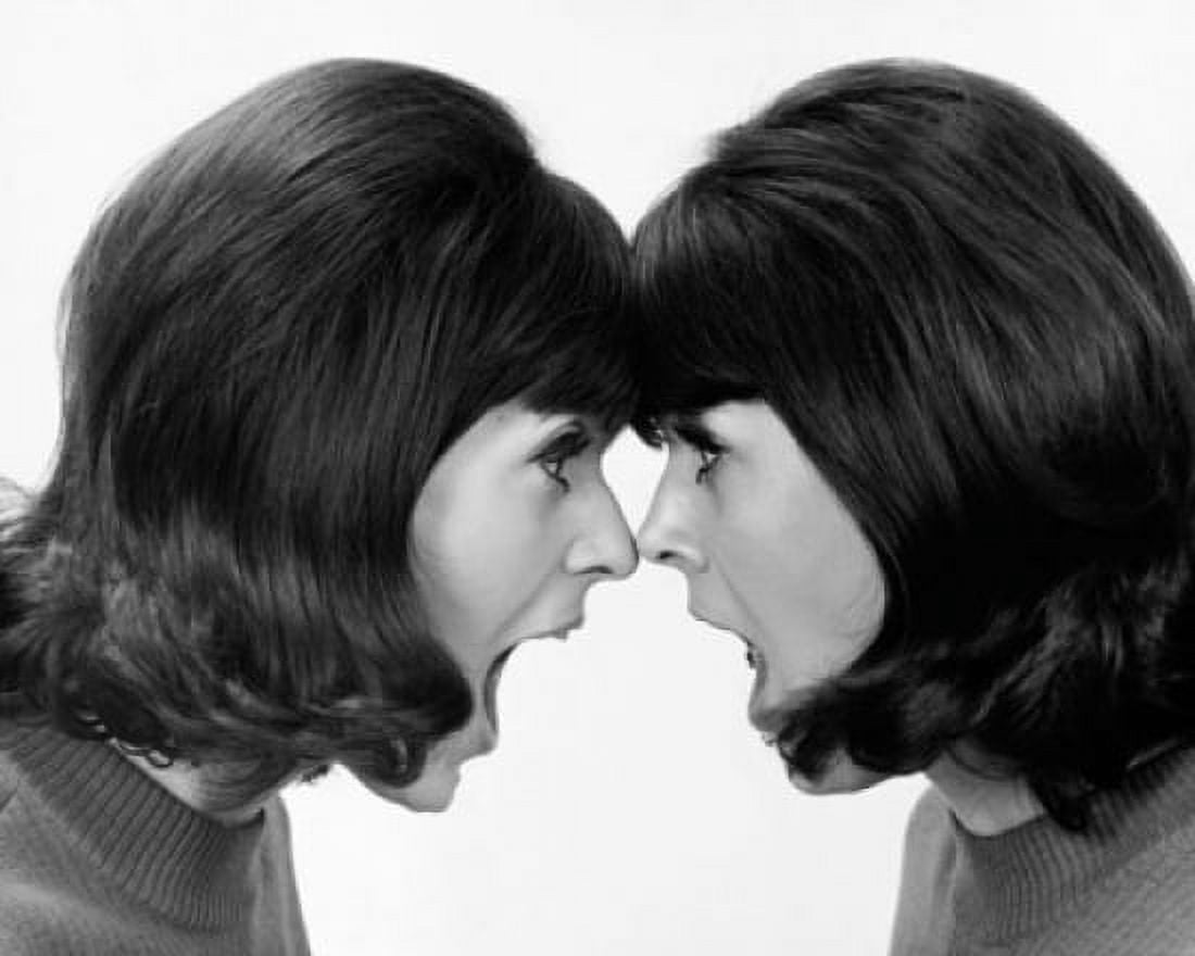 Side profile of twin young women face to face and shouting Canvas Art - (24 x 36)