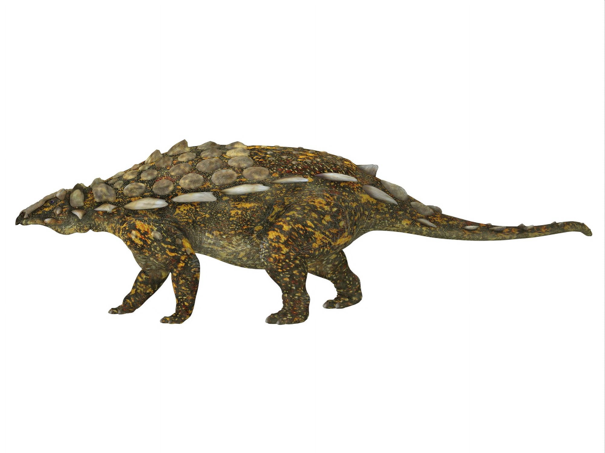 Side view of a Gargoyleosaurus dinosaur Canvas Art - Corey FordStocktrek Images (32 x 24)