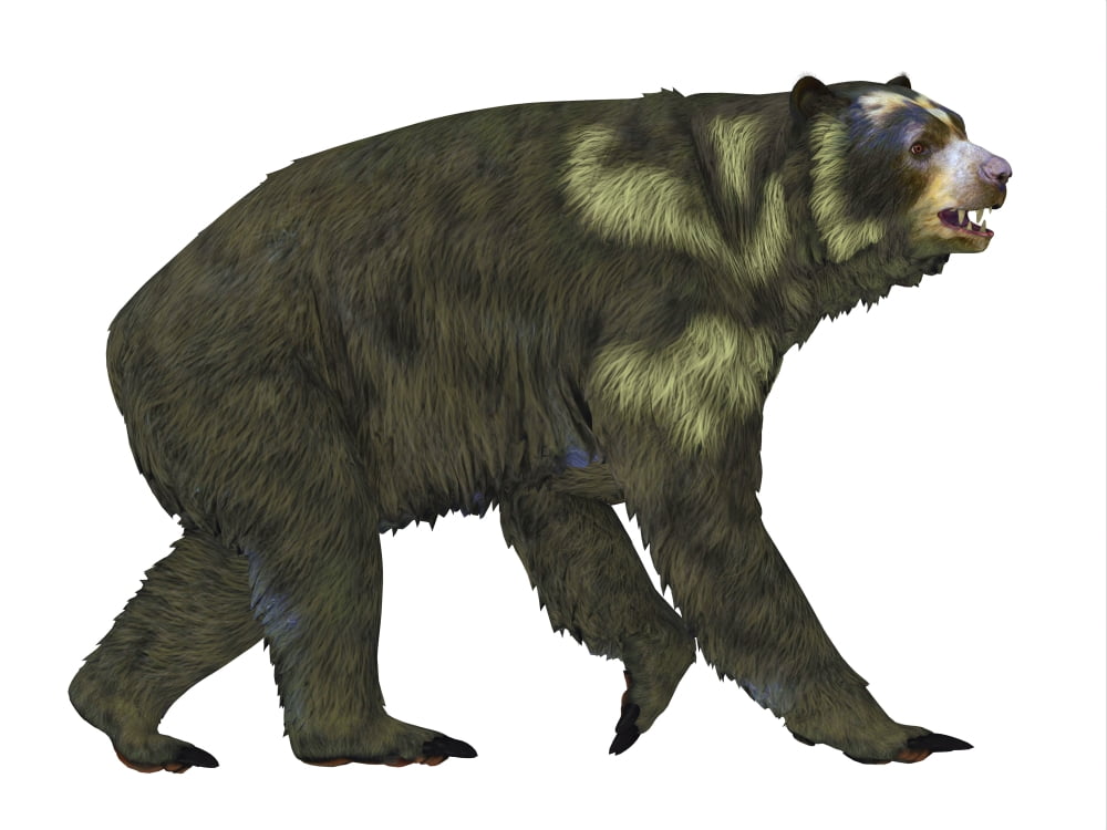 Side view of an Arctodus short-faced bear Canvas Art - Corey FordStocktrek Images (32 x 24)