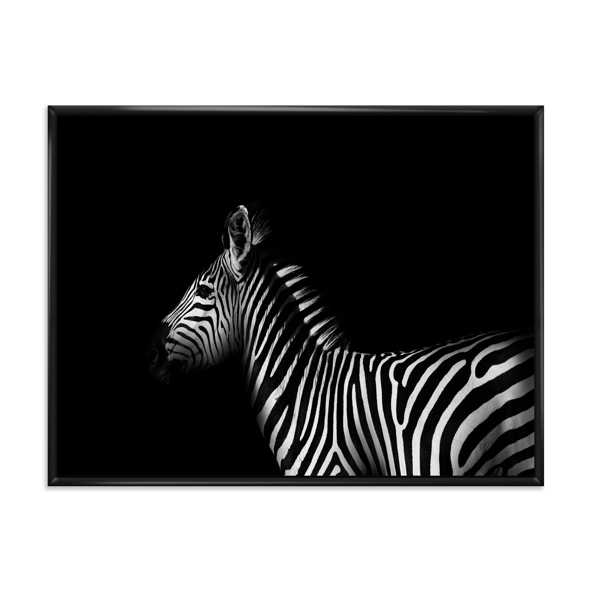Sideview Of Zebra In White and Black 32 in x 16 in Framed Painting Canvas Art Print, by Designart