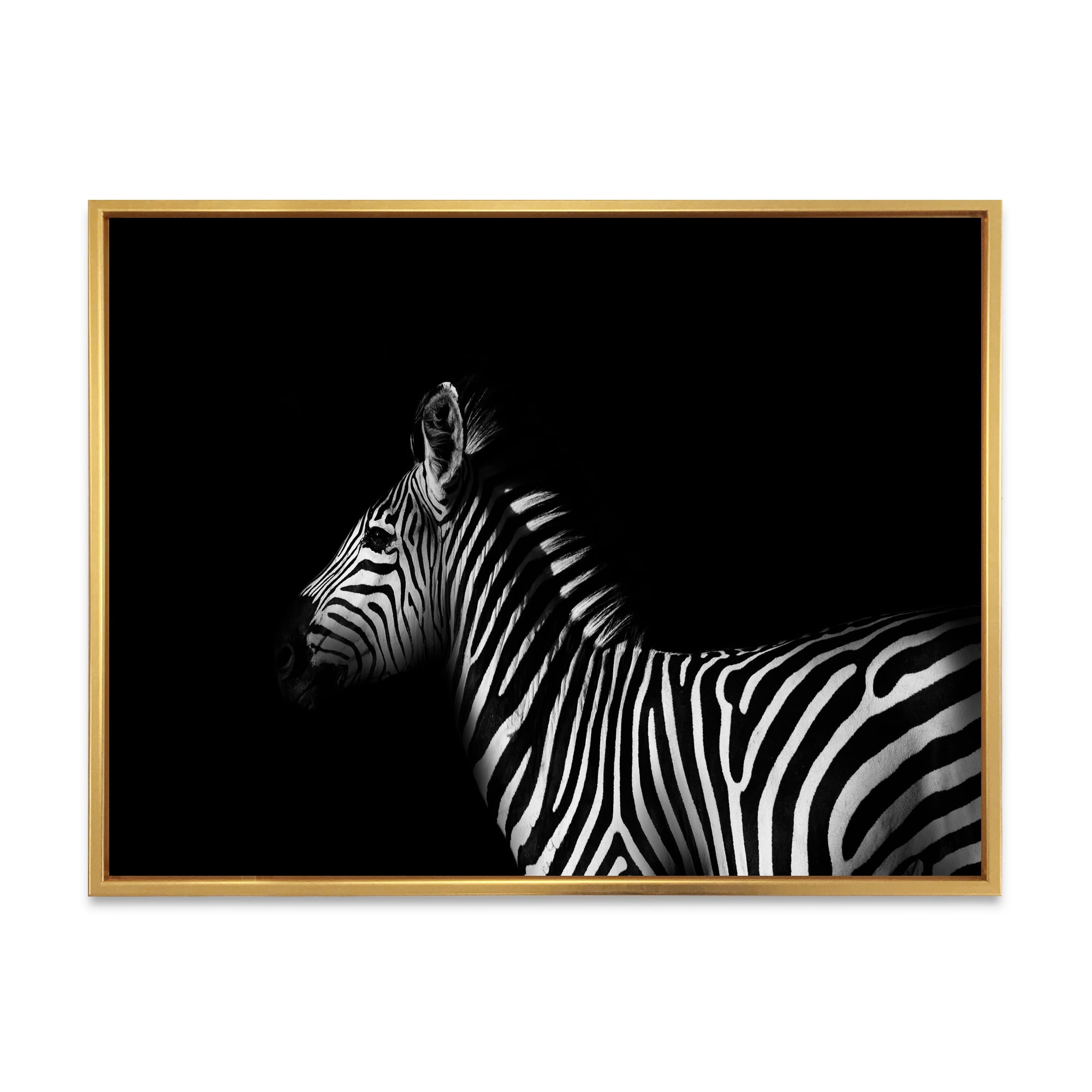 Sideview Of Zebra In White and Black 32 in x 16 in Framed Photography Canvas Art Print, by Designart