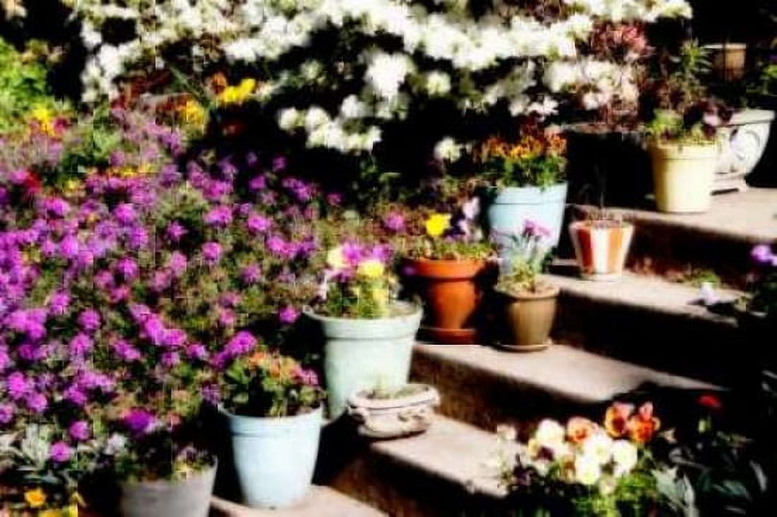 Sidewalk Spring II Canvas Art - Alan Hausenflock (20 x 28)