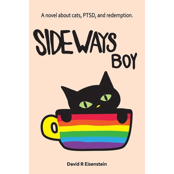 Sideways Boy (Paperback) by David R Eisenstein