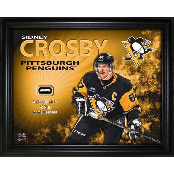 Sidney Crosby 16x20 Photo Frame with Game-Used Net - Pittsburgh Penguins