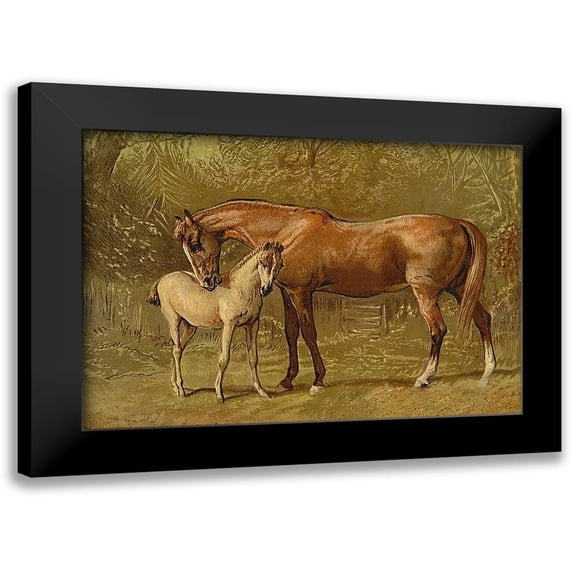 Sidney, Samuel 18x14 Black Modern Framed Museum Art Print Titled - Thoroughbred Mare and Foal, 1900