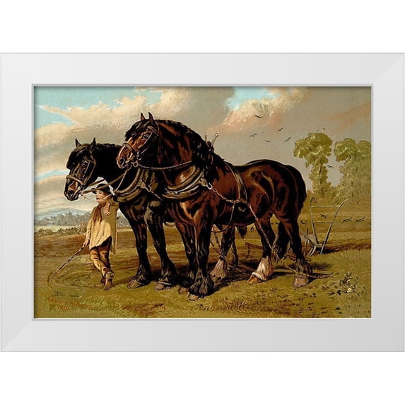 Sidney, Samuel 18x14 White Modern Wood Framed Museum Art Print Titled - Clydesdale Stallion and Mare, 1900