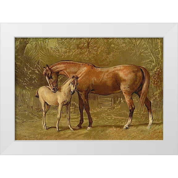 Sidney, Samuel 32x23 White Modern Wood Framed Museum Art Print Titled - Thoroughbred Mare and Foal, 1900