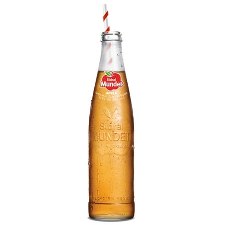 Sidral Mundet Apple Soda, 12 fl oz (355ml) Glass Bottle, 1 Count
