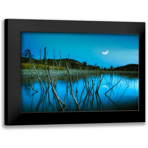 Sie, Lee 14x11 Black Modern Framed Museum Art Print Titled - The Blue Lake