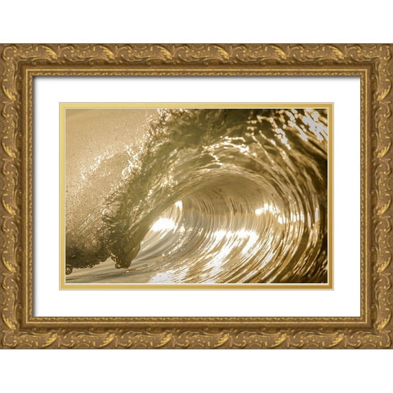 Sieczkiewicz, David A. 32x23 Gold Ornate Wood Framed with Double Matting Museum Art Print Titled - Auricomus
