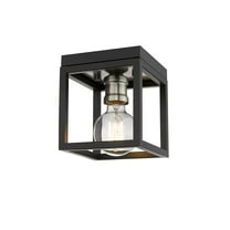 Z-Lite 1 Light Pendant