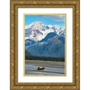 Sienda, Jolly 17x24 Gold Ornate Wood Framed with Double Matting Museum Art Print Titled - Lake Clark National Park and Preserve-Cook Inlet-Kenai Peninsula-Alaska-brown bear